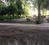 Ruiming Begraafplaat Poortugaal